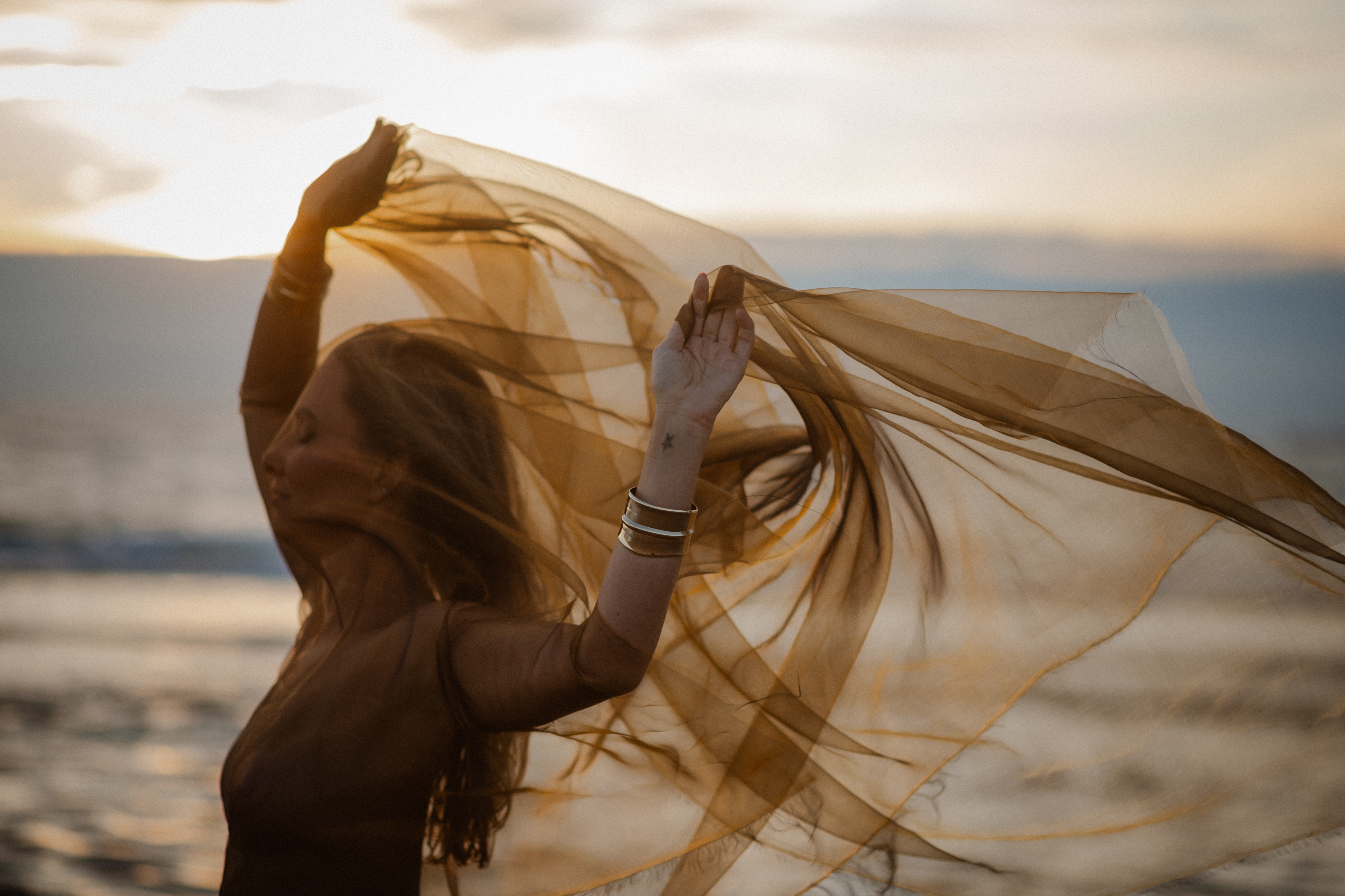 Embodiment somatic coach